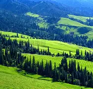 乌鲁木齐封闭式减肥训练营 乌鲁木齐封闭式减肥训练营